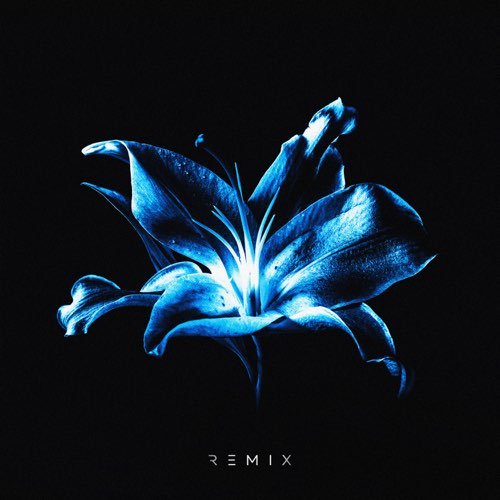 Рум & Рам - Лилии (Glazur & Xm Remix)