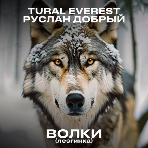 Tural Everest, Руслан Добрый - Волки (Лезгинка) Tural Everest, Руслан Добрый - Волки (Лезгинка)