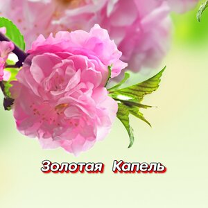 Гравитация - УЛЕТАЮТ ПТИЦЫ